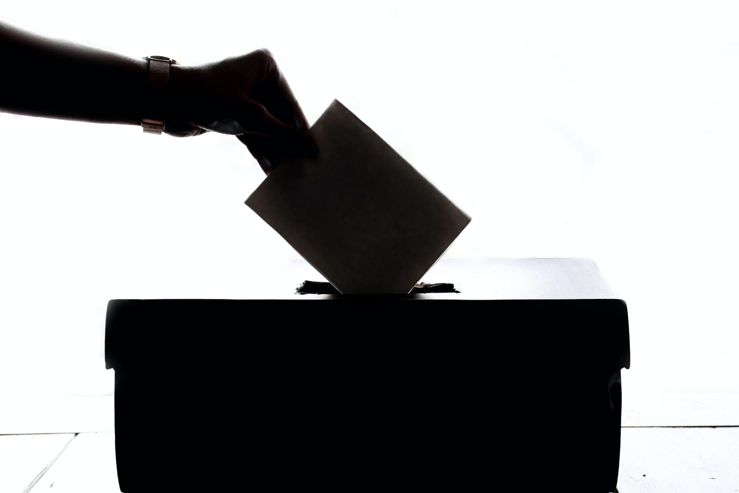 Formation CSE – Organiser les élections